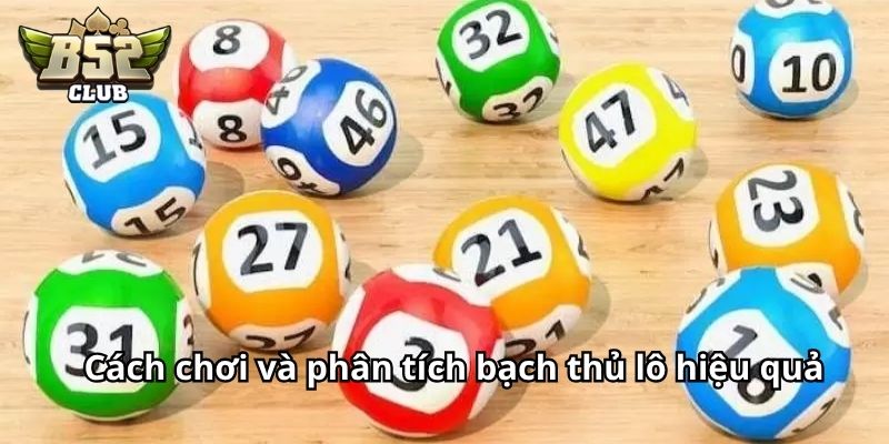 Cách chơi và phân tích bạch thủ lô hiệu quả cho người mới